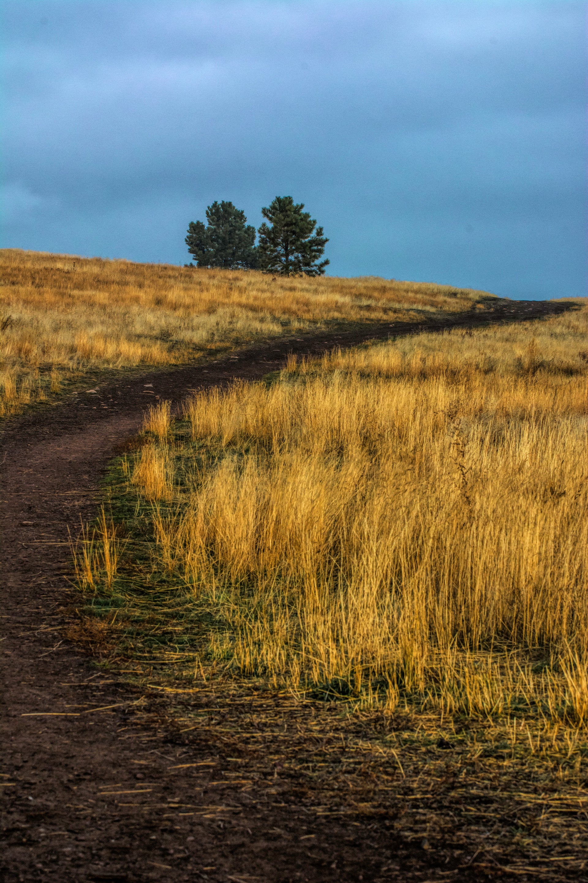 Pathways