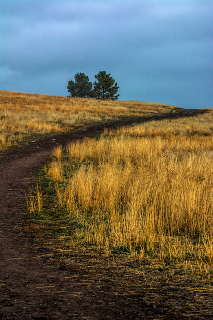 Pathways