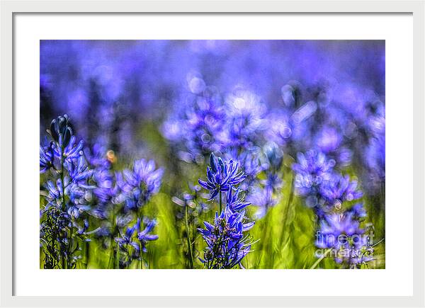 A Camas Bouquet