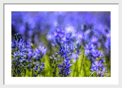 A Camas Bouquet