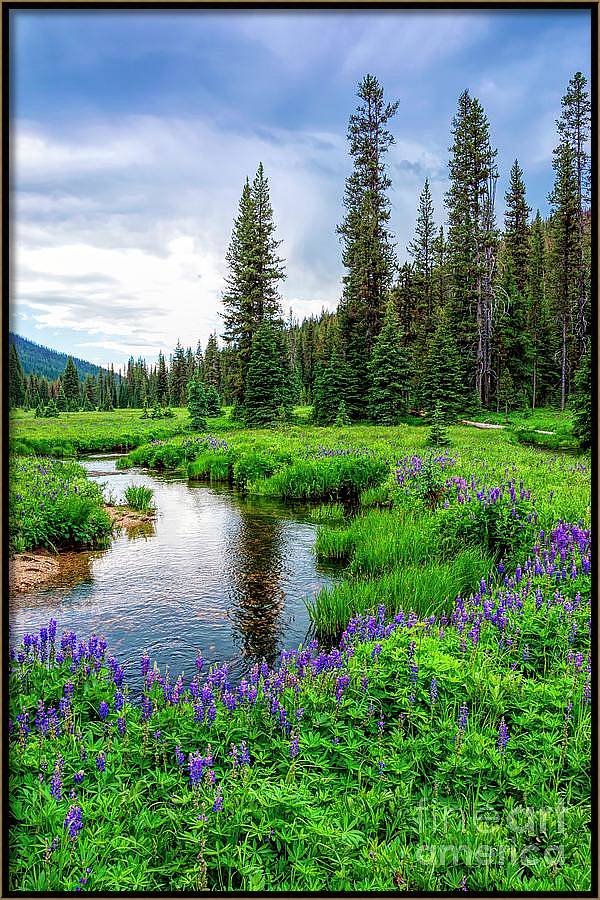 Mountain Resilience