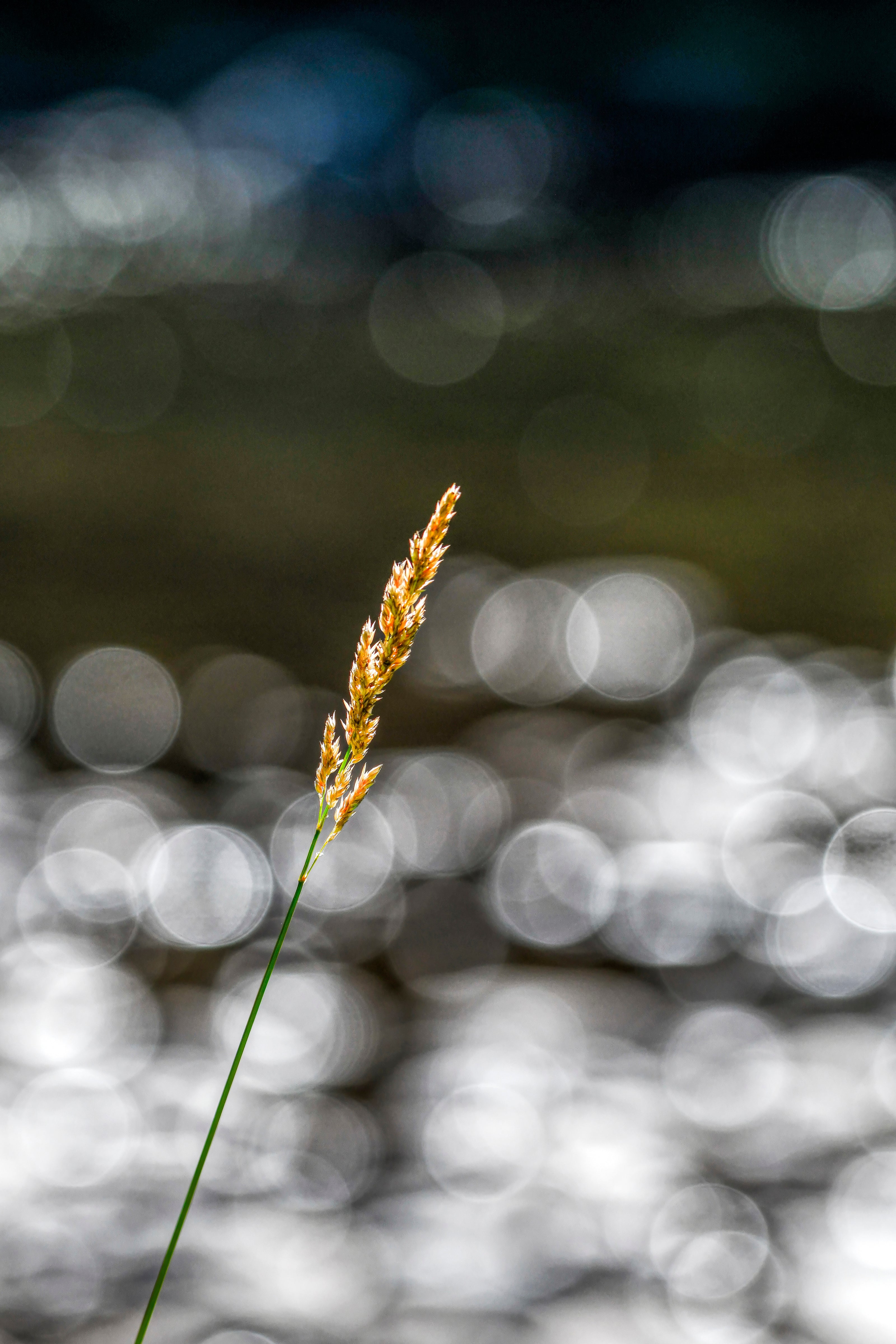 Bending Toward Peace