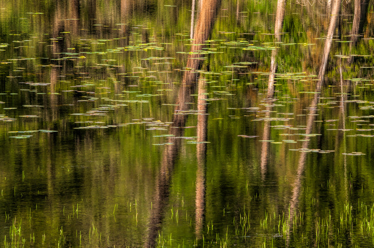 Tranquil Monet
