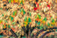 Essence of Fall