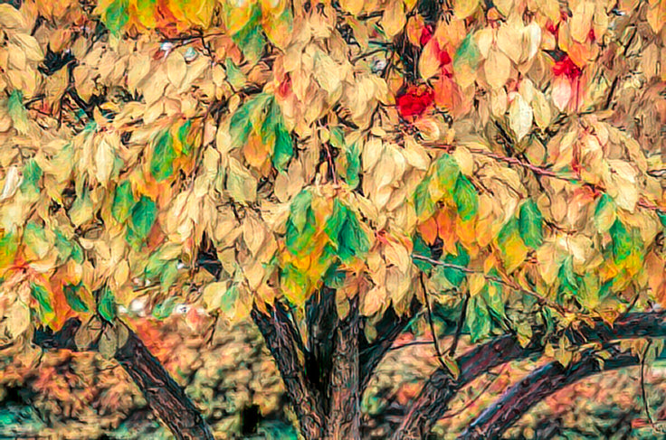 Essence of Fall