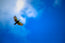 Fly By My Love