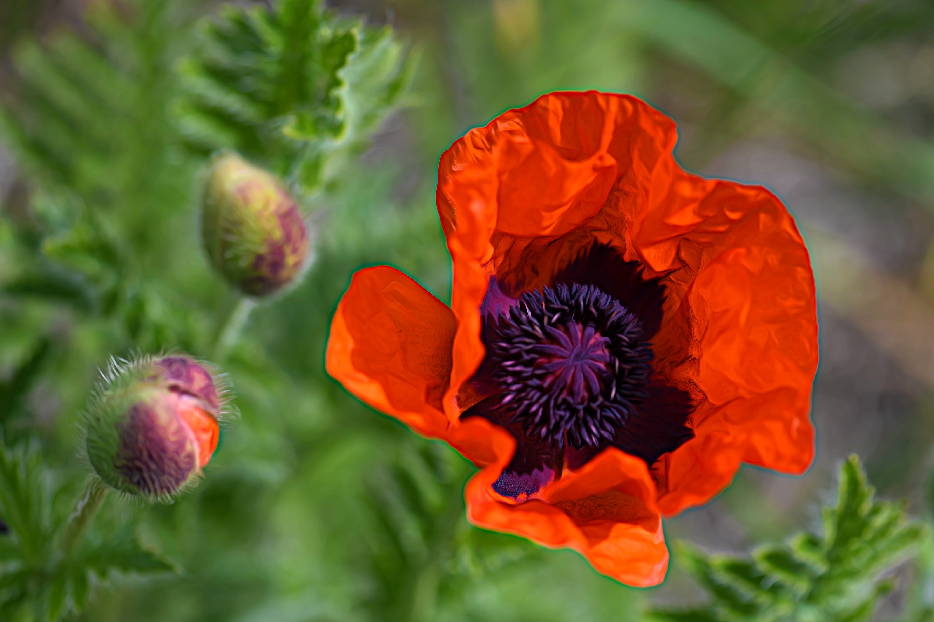 Resilience in Bloom