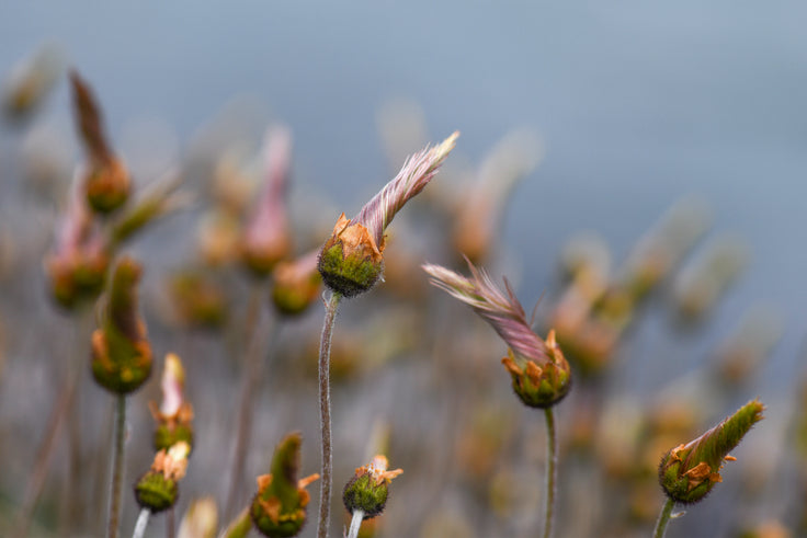 A Twist In Time