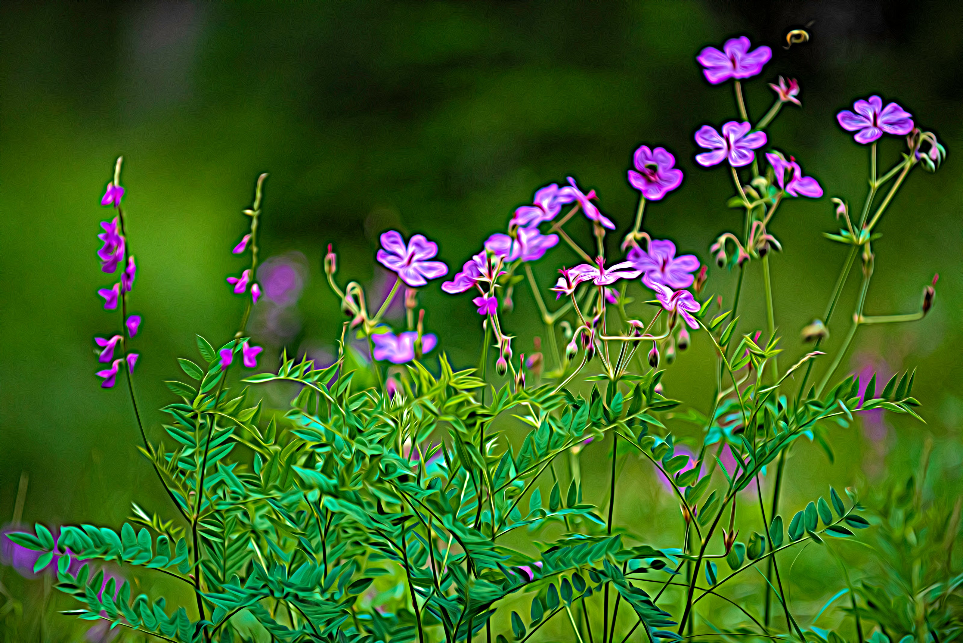 Wildflower Melody