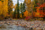 Autumn Stream