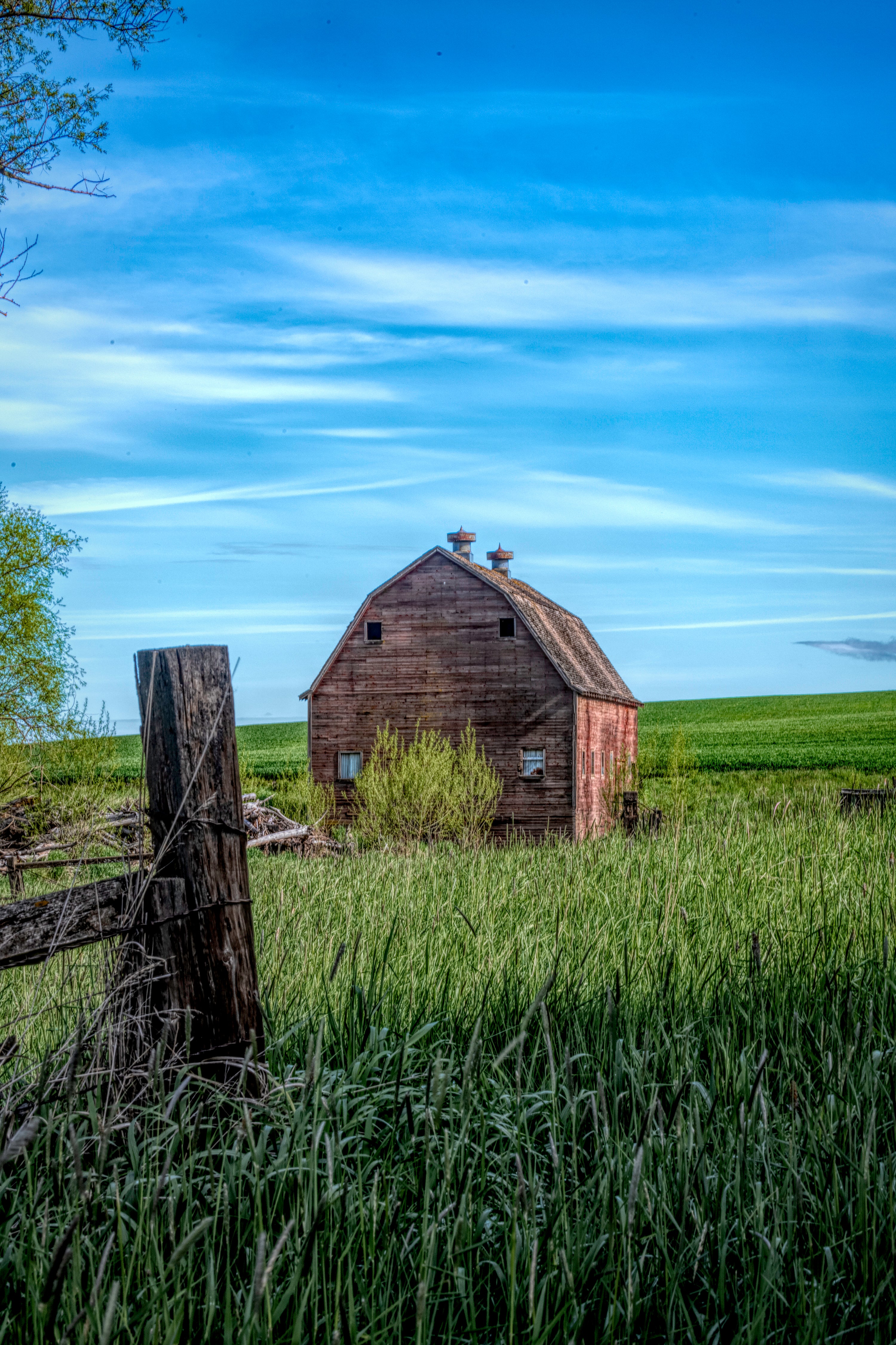 Behind The Barn