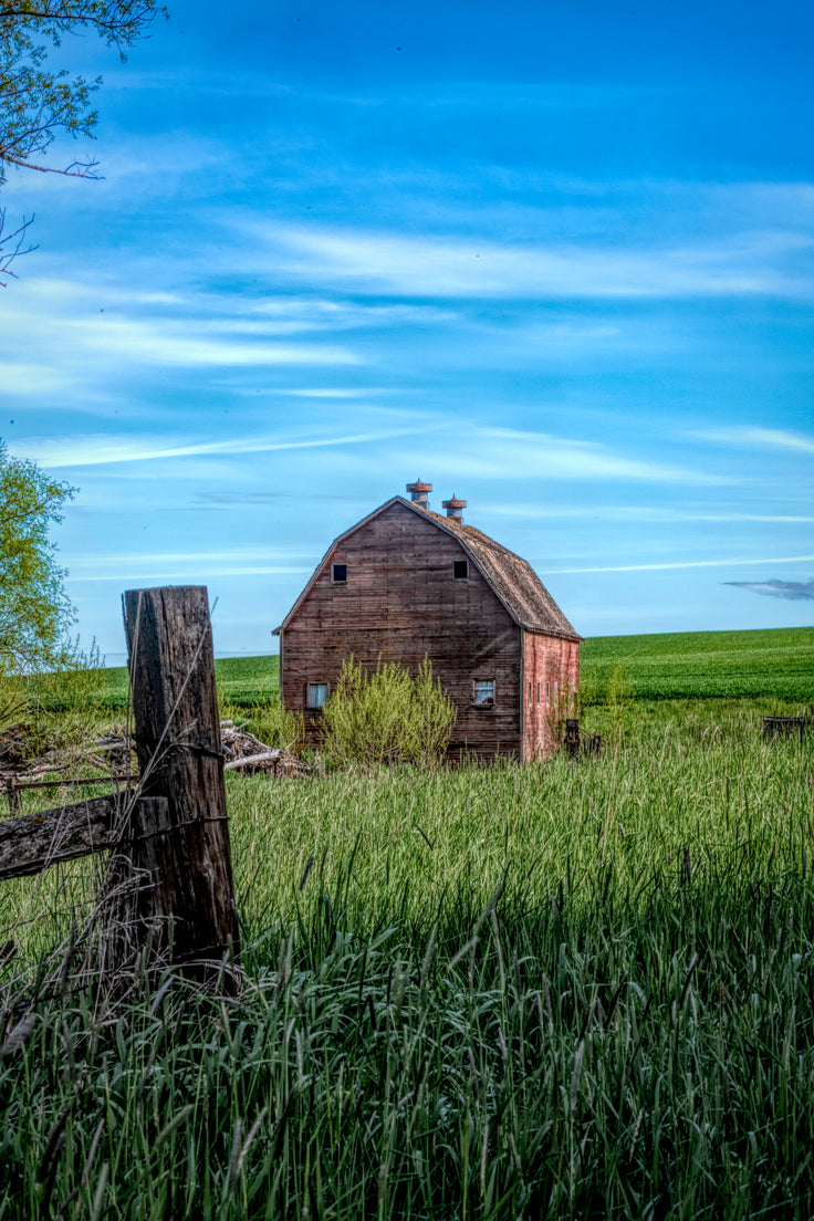 Behind The Barn