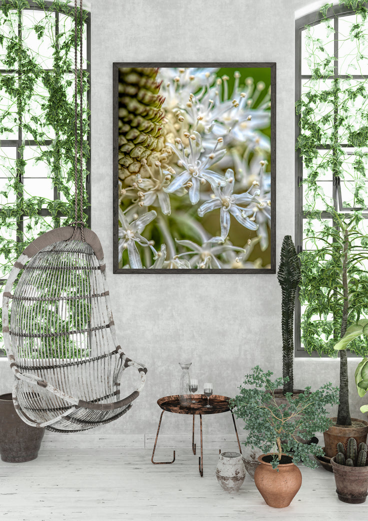 Flower Whispers