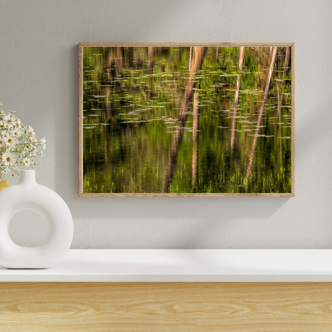 Tranquil Monet