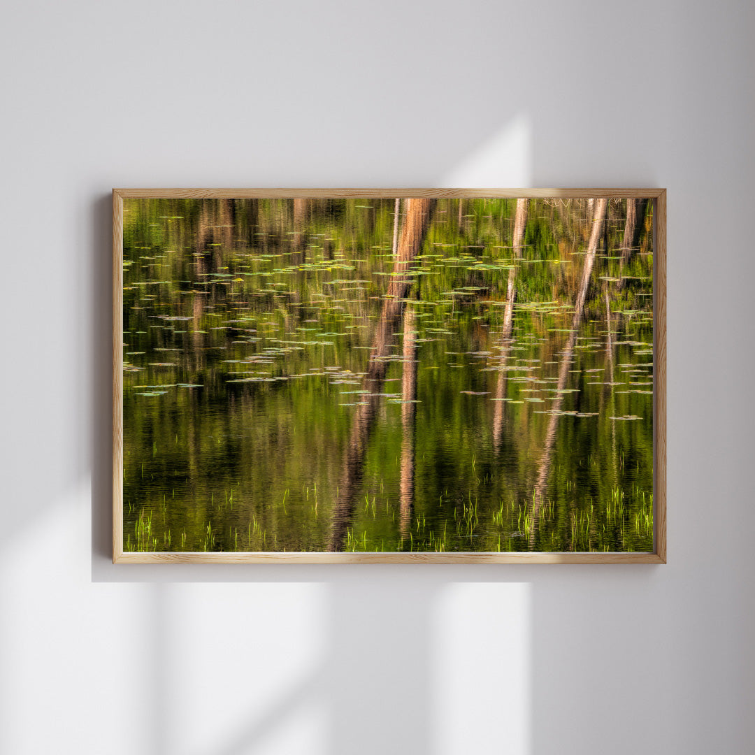 Tranquil Monet