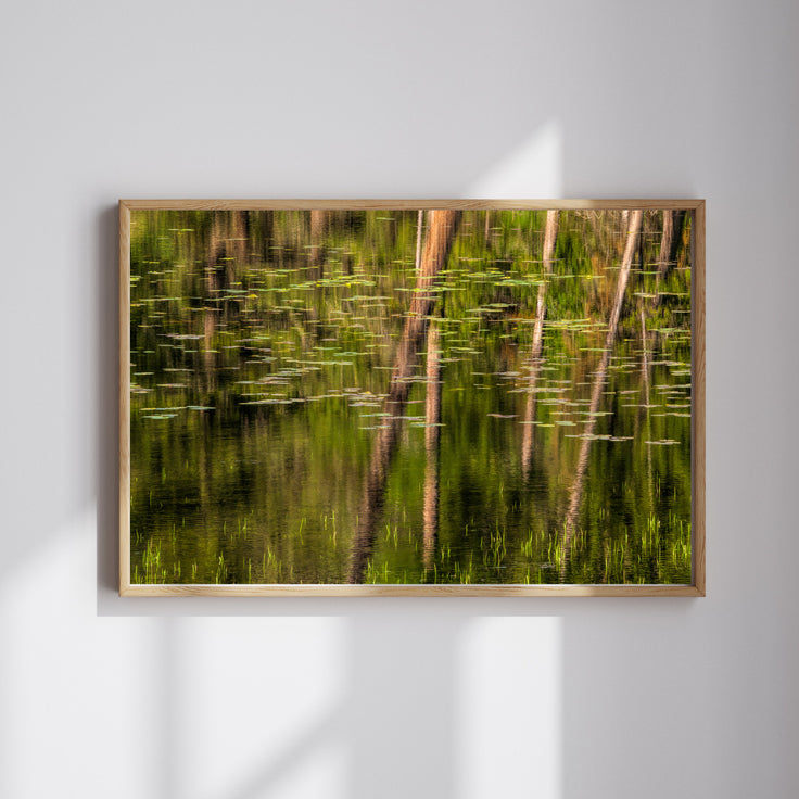 Tranquil Monet