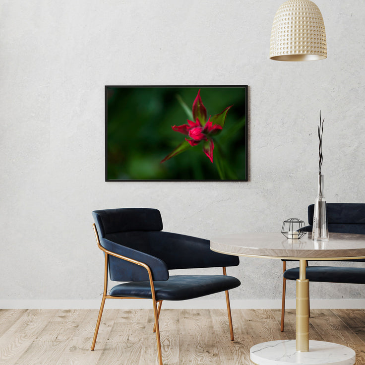 Red Star Touch