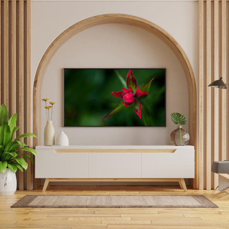 Red Star Touch