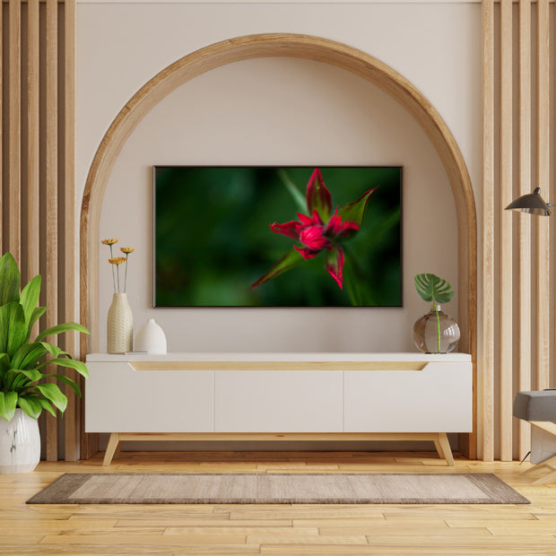 Red Star Touch