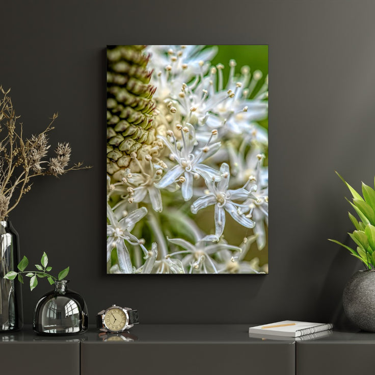 Flower Whispers