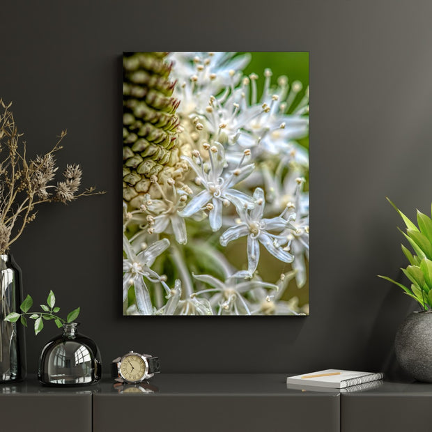 Flower Whispers
