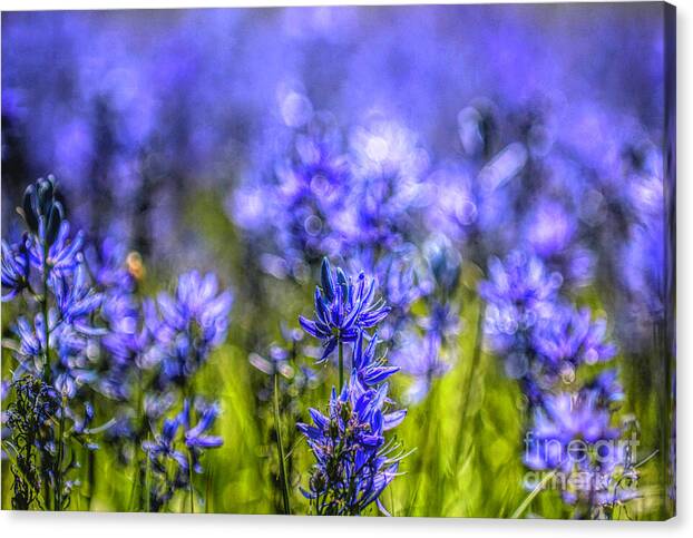 A Camas Bouquet