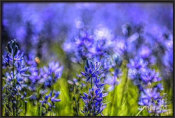 A Camas Bouquet