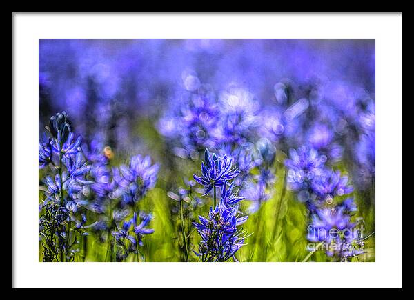 A Camas Bouquet