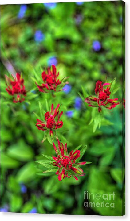 A Wild Bouquet