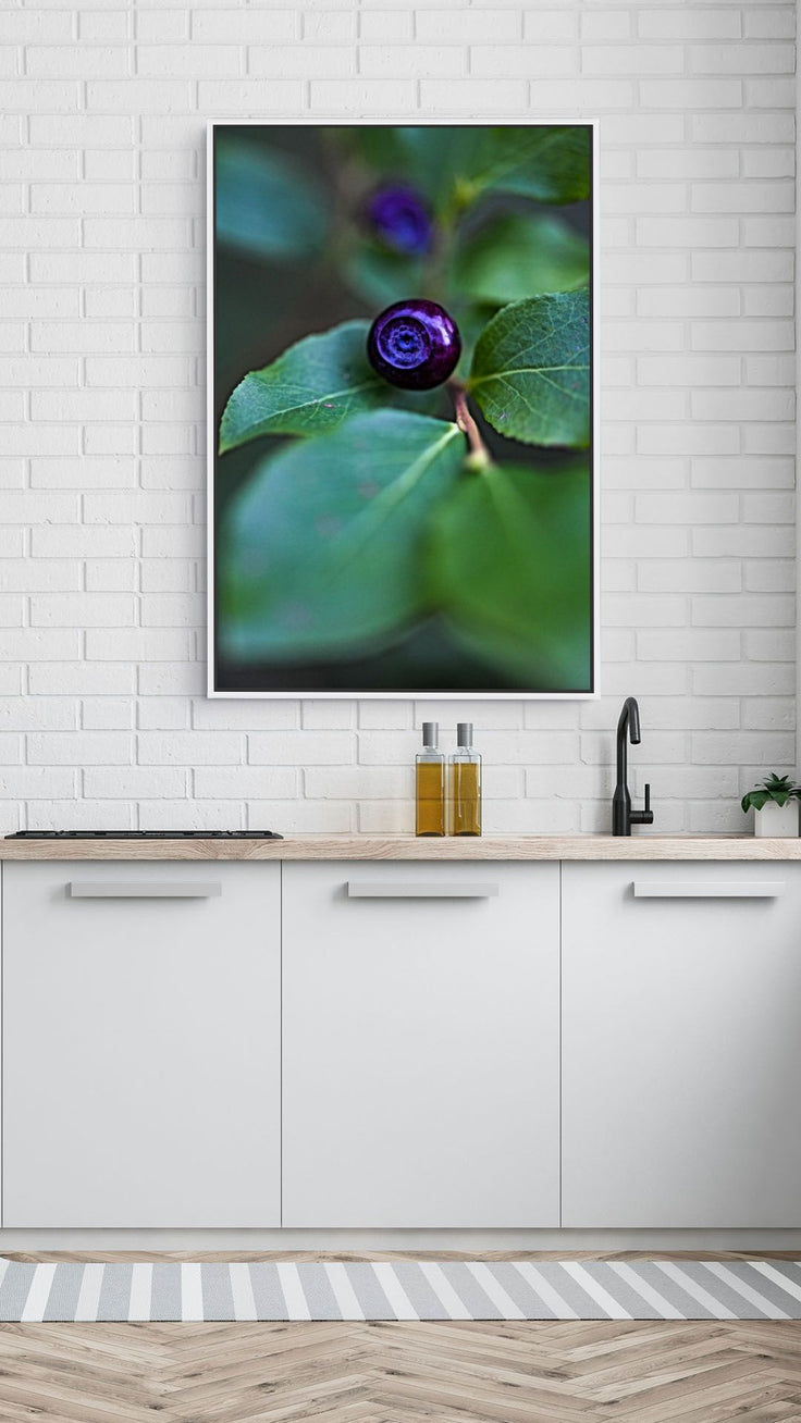 A Blue Eye Berry