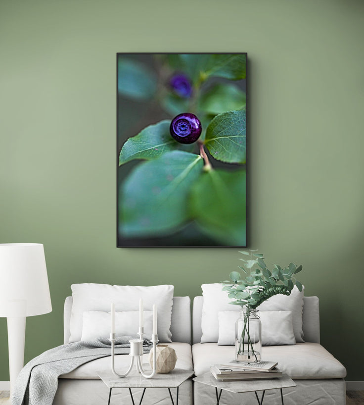 A Blue Eye Berry