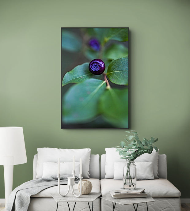 A Blue Eye Berry