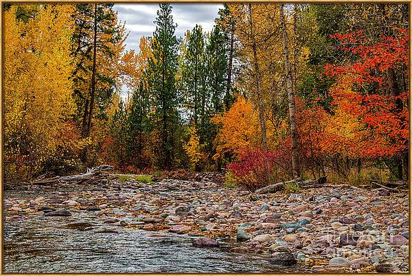 Autumn Stream