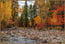 Autumn Stream