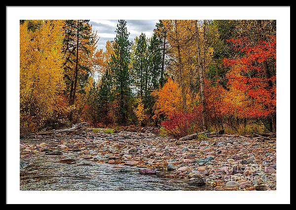 Autumn Stream