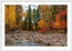 Autumn Stream
