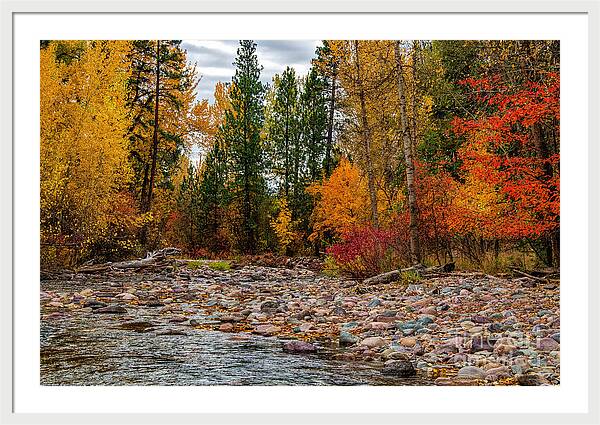 Autumn Stream