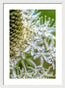 Flower Whispers