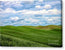 God's Beautiful Farmland