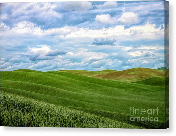God's Beautiful Farmland