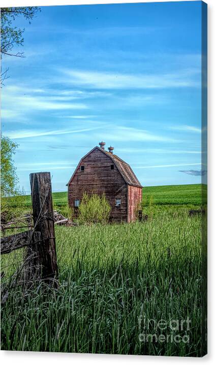 Behind The Barn