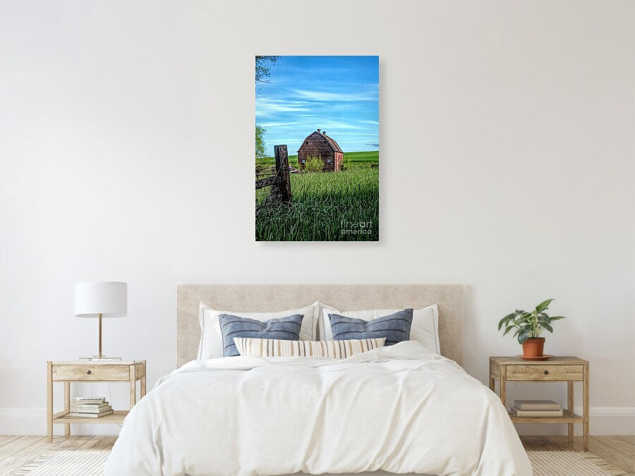 Behind The Barn