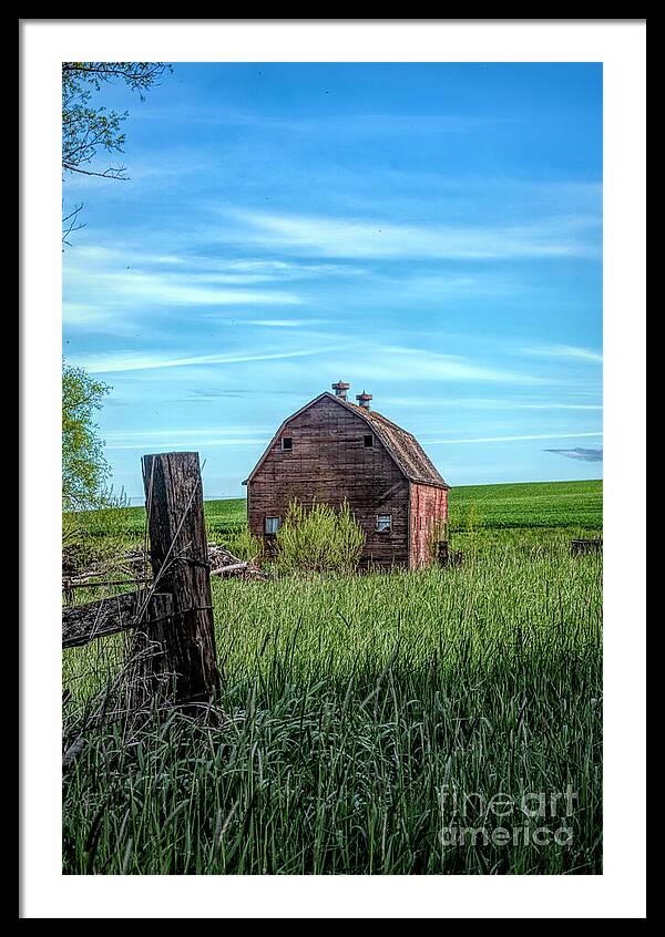 Behind The Barn