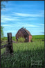 Behind The Barn