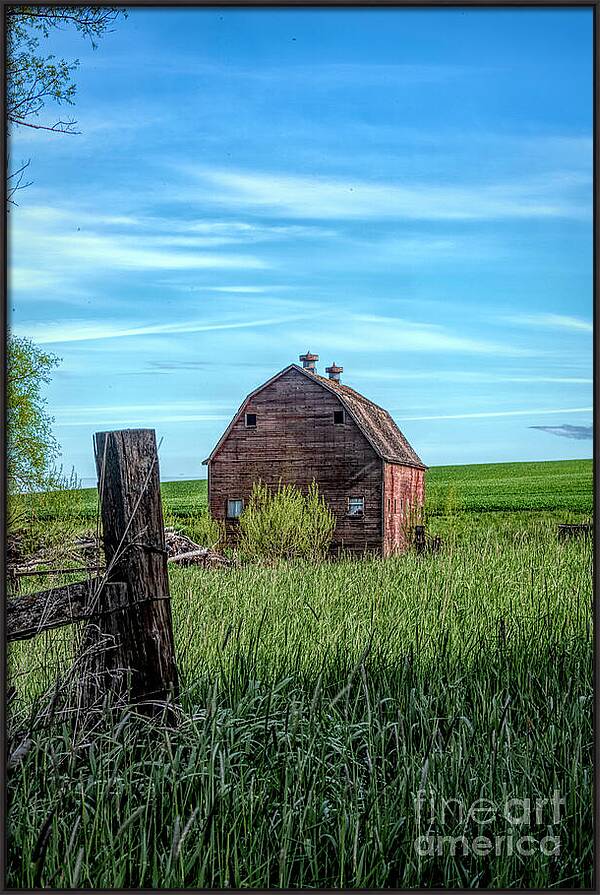 Behind The Barn