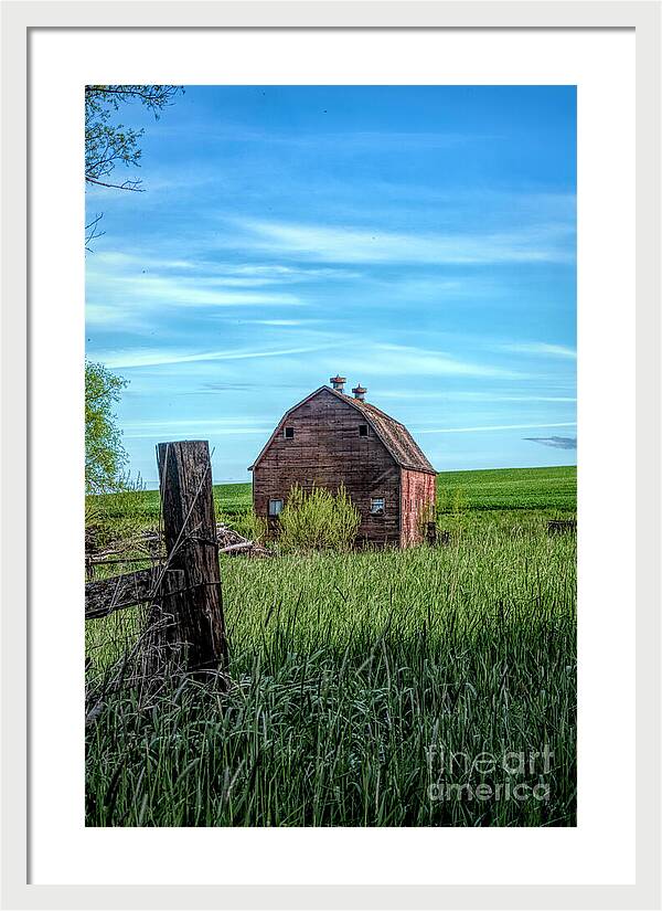 Behind The Barn