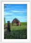 Behind The Barn
