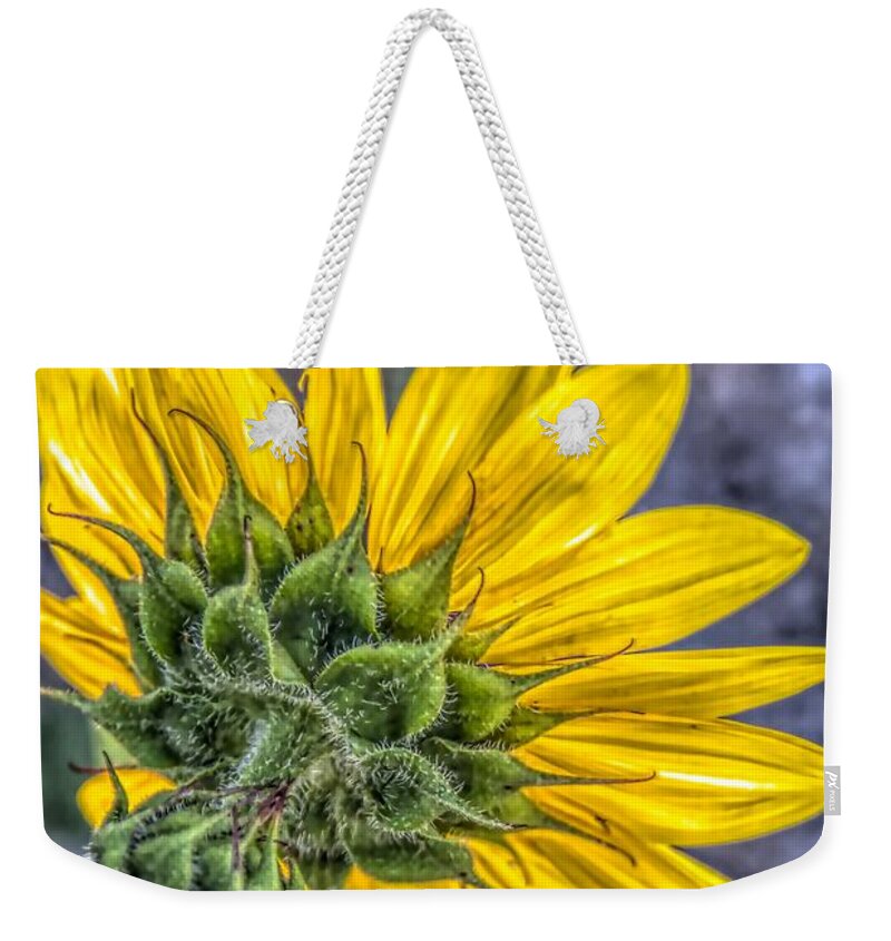 Looking Forward - Artistic Weekender Tote Bags