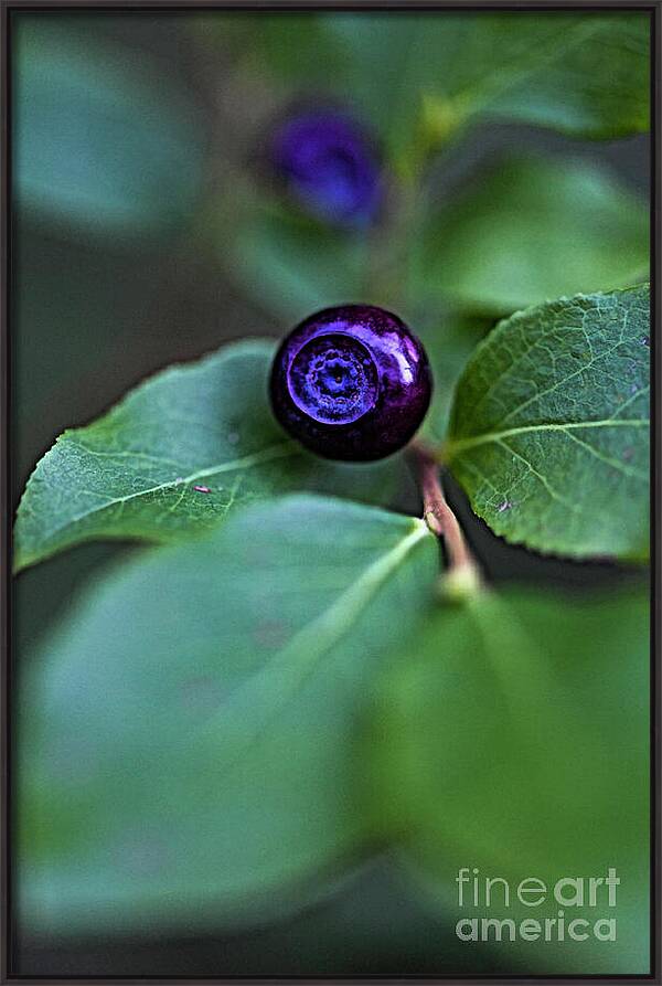 A Blue Eye