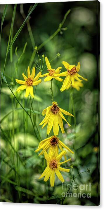 Dressed in Imperfect Yellow